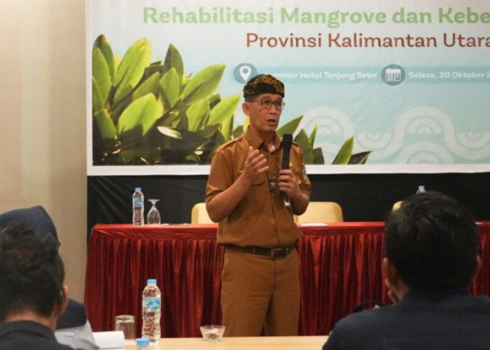 Pemprov Kaltara Matangkan Strategi Pengelolaan Mangrove untuk Perkuat Perlindungan Ekosistem Pesisir