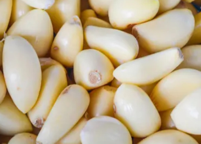 Cuma Makan Bawang Putih Mentah 1 Siung Setiap Hari, Lihat Apa yang Terjadi Setelah Sebulan