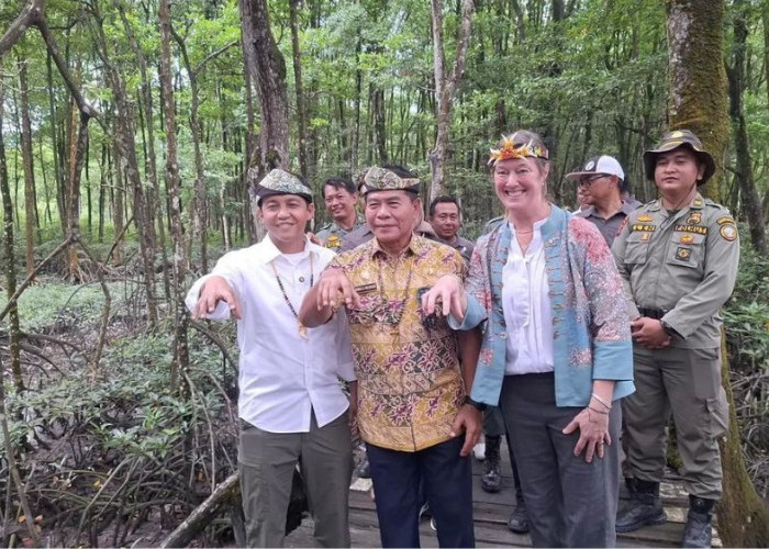 Menhut Dorong Perlindungan Lahan Basah dan Mangrove di Kalimantan Utara