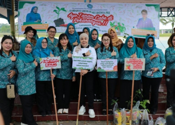 Mau Tanam Cabai Sendiri di Rumah, PKK Kaltara Kasih Bibitnya Gratis
