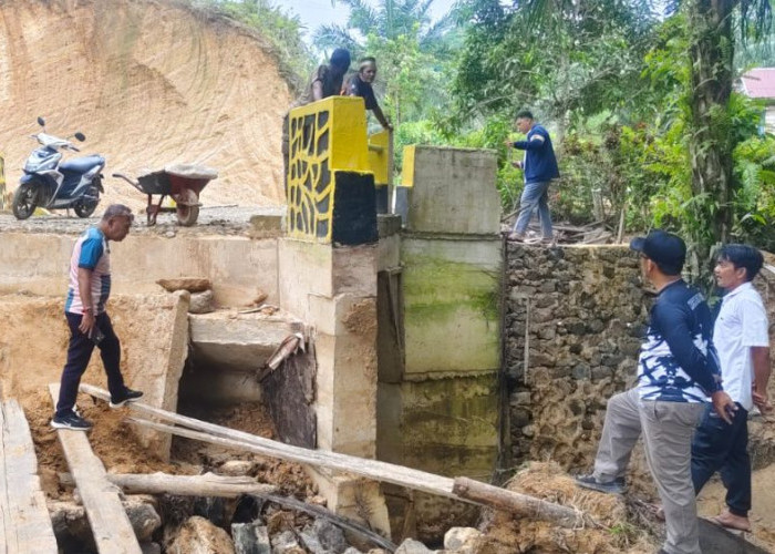 Camat Sebatik Monitoring Platdeker Amblas di Desa Tanjung Karang, Penanganan Diusulkan ke Pemkab Nunukan