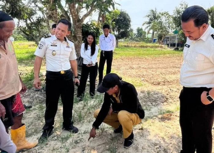 Survei Lahan SAE Lapas Nunukan, DKPP Dorong Pengembangan Pertanian dan Pemanfaatan Limbah Jadi Pupuk Organik