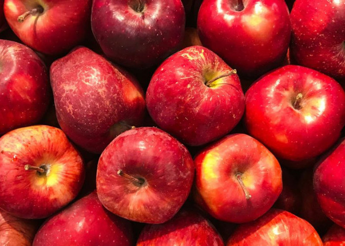 Khasiat Buah Apel yang Jarang Disadari, Baik untuk Imunitas, Kulit, dan Berat Badan