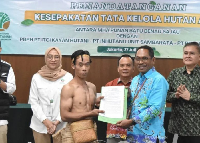 Kemenhut Percepat Penetapan Hutan Adat Punan Batu Benau-Sajau Didukung Tiga Perusahaan