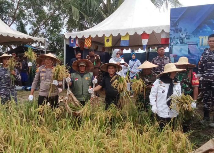 DPRD Nunukan Dukung Ketahanan Pangan, TNI AL dan Petani Sukses Panen Raya di Mansapa