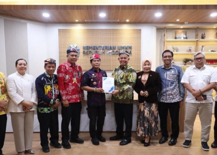 Pemprov Kaltara Dorong Penguatan UMKM, Usulan Program Disampaikan Bersama Anggota DPR RI