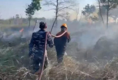 Karhutla Kembali Terjadi di Tarakan, Tiga Titik Kebakaran Lahan Tercatat dan Mengancam Lahan Pertanian Warga