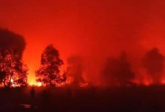 Kebakaran Way Kambas Belum Padam hingga Sabtu, Petugas Hadapi Lahan Kering dan Keterbatasan Sumber Air