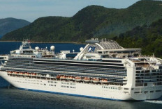 Hantavirus Merebak di MV Hondius, Canary Islands Tolak Kapal Bersandar hingga WHO Turun Tangan