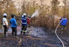 282 Hotspot Terdeteksi di Kaltara hingga September, Dishut Perkuat Kesiapsiagaan Karhutla
