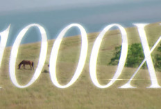 Lirik Lagu 1000x - Ghea Indrawari