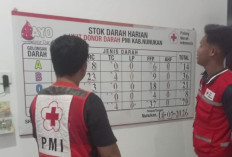 Pemantauan PMI Kabupaten Nunukan: Tak Ada Bencana, Ketersediaan Stok Darah Masih Terbatas