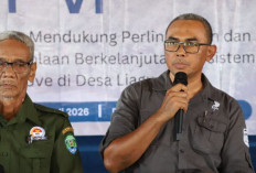 Pemprov Kaltara Perkuat Perlindungan Hutan Mangrove dari Liagu, Kolaborasi Jadi Kunci Pelestarian Pesisir