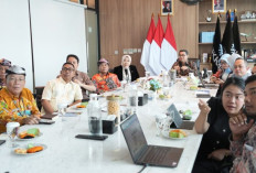 Audiensi dengan Menekraf, Gubernur Kaltara Dorong Hilirisasi Produk Lokal hingga Penguatan Ekonomi Kreatif