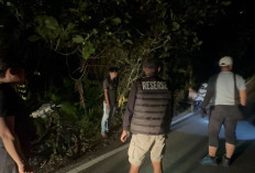 Operasi Sarang Narkoba di Malinau Utara, Polisi Amankan Dua Orang dan Sita Barang Bukti Diduga Sabu