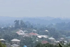 Kualitas Udara Tarakan Memburuk di Tengah Kabut Asap, DLH Ingatkan Warga Risiko Gangguan Pernapasan