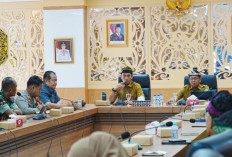 Pengawasan Lima Sektor Pajak Diperkuat, Satgas Pajak Kaltara Kejar Optimalisasi PAD