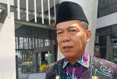 Kabar Baik Pemilik Kendaraan di Kaltara, Denda Pajak Dihapus dan Mutasi Pelat Luar Dapat Diskon 50 Persen
