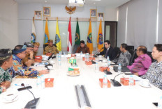 Kaltara Dilirik Investor Qatar, Potensi Besar di Sektor Migas dan Industri Manufaktur Siap Dikembangkan