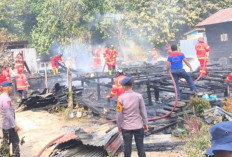 Kebakaran Rumah di Jelarai Selor Bulungan Diduga Berawal dari Stopkontak Charger HP, Kerugian Rp400 Juta