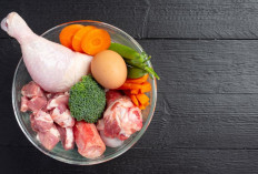 10 Sumber Protein Terbaik untuk Diet, Bantu Jaga Massa Otot dan Berat Badan