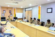 Pengawasan Pembangunan Daerah Diperkuat lewat Dashboard Eksekutif di Kaltara