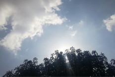 Cek Cuaca Hari Ini! 19 Januari 2026, Cuaca Kalimantan Utara Relatif Kondusif Tanpa Hujan Ekstrem