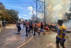 Si Jago Merah Mengamuk di Sekatak Buji, Penginapan hingga Kendaraan Ikut Terbakar