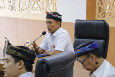 Pemprov Siapkan SINERGI Kaltara untuk Membuka Peluang UMKM Kaltara di Kawasan Industri Tanah Kuning