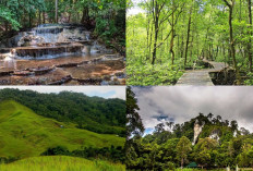 Rekomendasi Wisata Alam di Kalimantan Utara yang Wajib Masuk ke Dalam List Kamu!