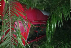 Kecelakaan Truk Tangki BBM di Jalan Poros Bulungan-Berau Saat Hindari Truk Sawit Mogok