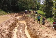 Kerusakan Jalan Krayan Selatan Ganggu Distribusi Logistik, Warga Krayan Selatan Hadapi Akses yang Kian Sulit