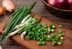 Cara Menyimpan Daun Bawang agar Tidak Cepat Layu di Kulkas