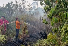 Karhutla di Nunukan Hanguskan Enam Hektare Lahan Persawahan dan Perkebunan di Lumbis serta Sembakung