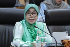 Rahmawati Soroti Status Tanah di Kawasan KIPI Kalimantan Utara, Minta Segera Dituntaskan Sebelum Pembangunan