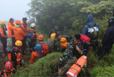 Pencarian Kecelakaan ATR 42-500, Tim SAR Temukan Beberapa Jenazah dan Bagian Tubuh