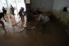 Porak-poranda Dihantam Banjir, Sumatera Alami Kehilangan Biodiversitas Tertinggi di Indonesia