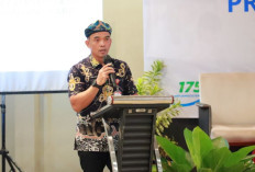 Menuju UCJ 2026, Pemprov Kaltara Perkuat Sinergi dengan Daerah untuk Mempercepat Perlindungan Pekerja