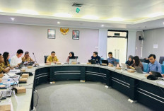 Pemprov Kaltara Bahas Pemerataan Akses Listrik dan Pengembangan Energi Hijau