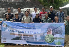 Kelompok Mas Muda Krayan Mulai Kembangkan Pakan Ikan Mandiri dari Maggot BSF dan Lemna