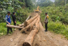 Sempat Terputus Sepekan, Akses Perbatasan di Malinau Mulai Pulih Bertahap Usai Perbaikan Darurat