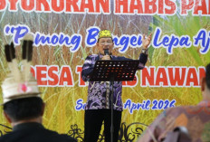 Teras Nawang Gelar Panen Raya, Dorong Stabilitas dan Ketahanan Pangan Daerah