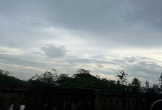 Cek Prakiraan Cuaca Kalimantan Utara 15 Januari 2026, Mayoritas Daerah Berpotensi Diguyur Hujan Ringan