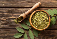 Manfaat Daun Kelor: Superfood Alami untuk Daya Tahan Tubuh