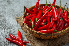 Tips Menyimpan Cabai di Rumah Supaya Awet Sampai Berminggu-minggu