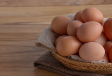 Bukan Hanya Sumber Protein, Ini Manfaat Makan Telur untuk Kesehatan Tubuh yang Perlu Diketahui