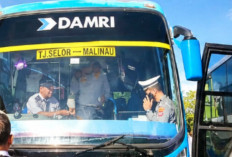 Subsidi Transportasi Belum Tersedia, Pemkab Bulungan Dorong Swasta dan Perorangan Investasi Angkutan Darat