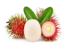 Kok Rambutan Mulai Jarang Muncul di Akhir Tahun? Pakar Ungkap Penyebabnya