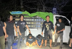 Sebanyak 151 Jeriken Pertalite Diamankan di Bulungan, Dua Orang Diduga Akan Membawa BBM ke Kaltim