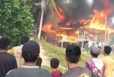 Kebakaran Rumah Panggung di Nunukan Selatan Tewaskan Satu Penghuni, Api Hanguskan Bangunan